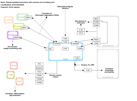 Platelet-mediated interactions with vascular and circulating cells