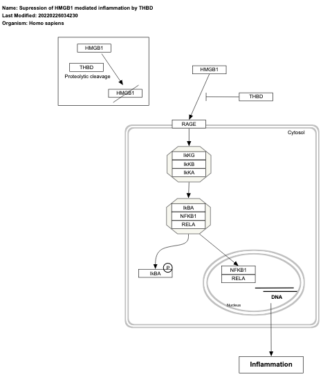 Supression of HMGB1 mediated inflammation by THBD