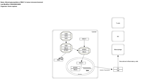 Altered glycosylation of MUC1 in tumor microenvironment