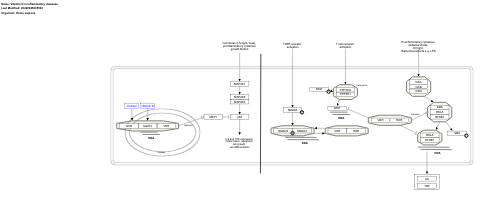 Vitamin D in inflammatory diseases