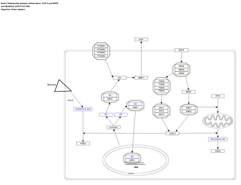 Relationship between inflammation, COX-2 and EGFR