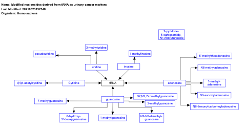Modified nucleosides derived from tRNA as urinary cancer markers