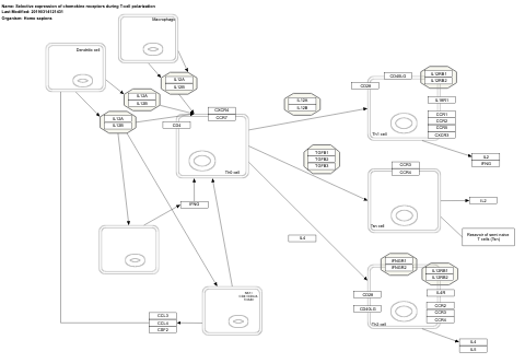 Selective expression of chemokine receptors during T-cell polarization