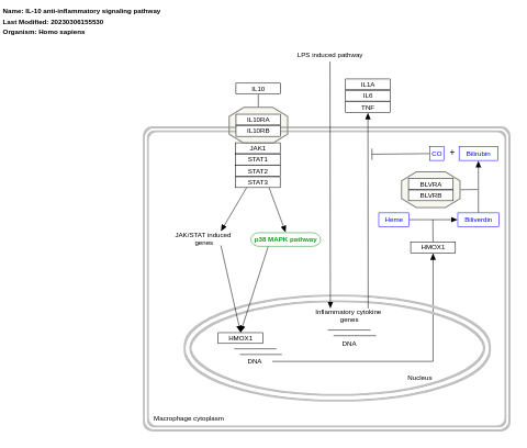 IL-10 anti-inflammatory signaling pathway 