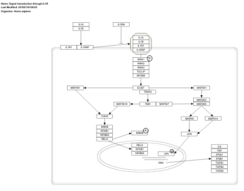 Signal transduction through IL1R