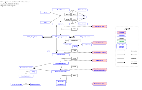 Tyrosine metabolism and related disorders