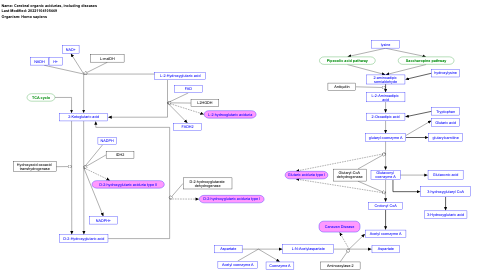 Cerebral organic acidurias, including diseases