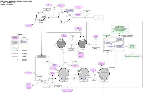 Metabolic pathway of LDL, HDL and TG, including diseases