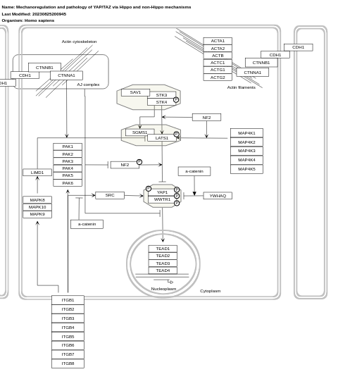 Mechanoregulation and pathology of YAP/TAZ via Hippo and non-Hippo mechanisms