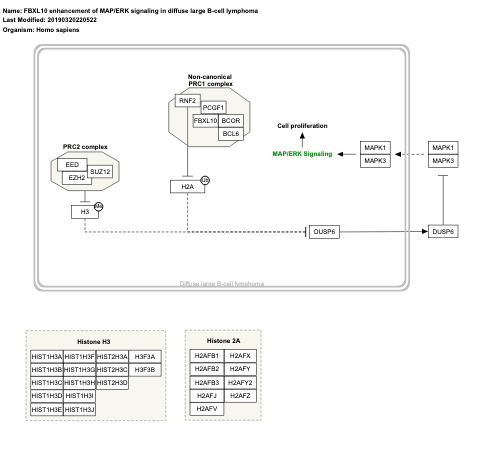 FBXL10 enhancement of MAP/ERK signaling in diffuse large B-cell lymphoma