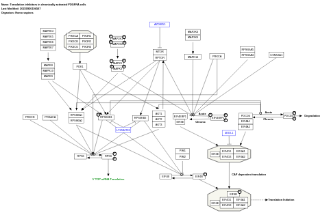 Translation inhibitors in chronically activated PDGFRA cells