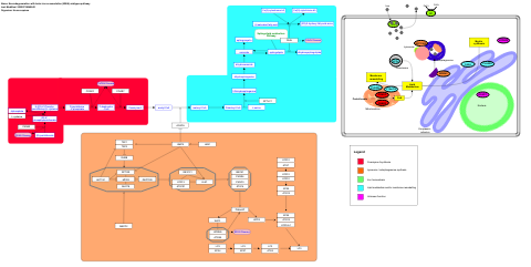 Neurodegeneration with brain iron accumulation (NBIA) subtypes pathway