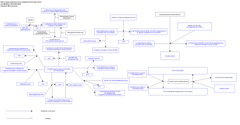  Lipids measured in liver metastasis from breast cancer