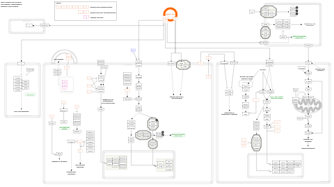 Measles virus infection