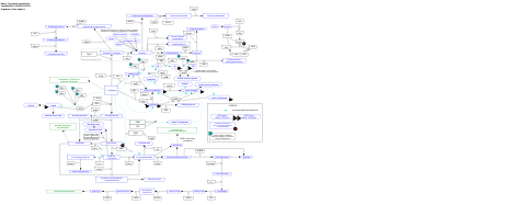Tryptophan metabolism