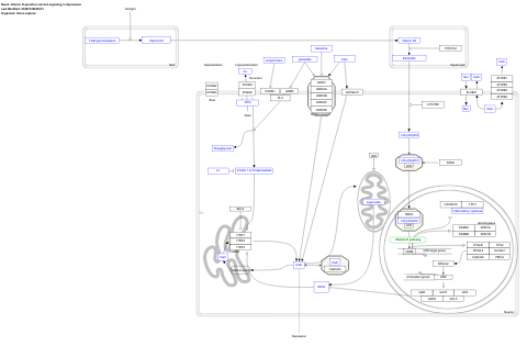 Vitamin D-sensitive calcium signaling in depression