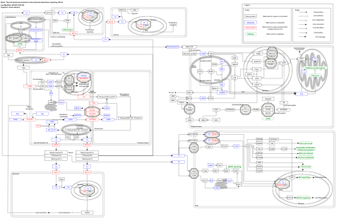 Thyroid hormones production and peripheral downstream signaling effects