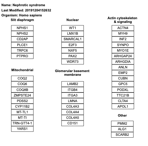Nephrotic syndrome