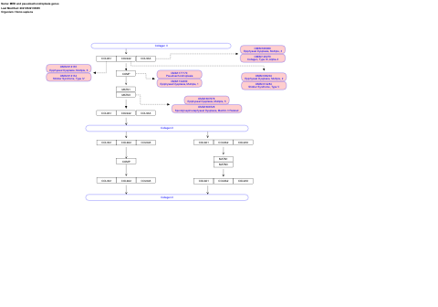 MED and pseudoachondroplasia genes