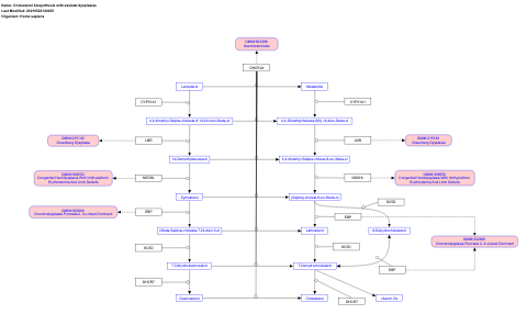 Cholesterol biosynthesis with skeletal dysplasias