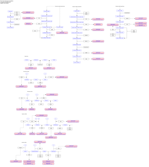 Glycosaminoglycan degradation