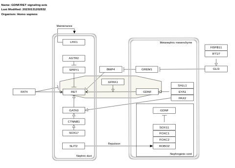 GDNF/RET signaling axis