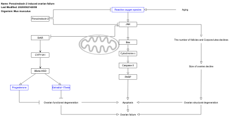 Peroxiredoxin 2 induced ovarian failure