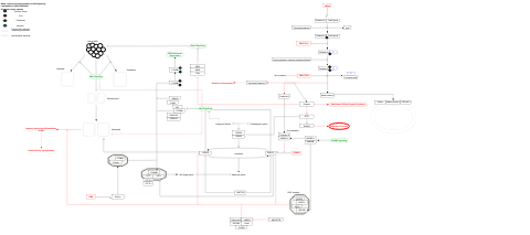 Influence of laminopathies on Wnt signaling