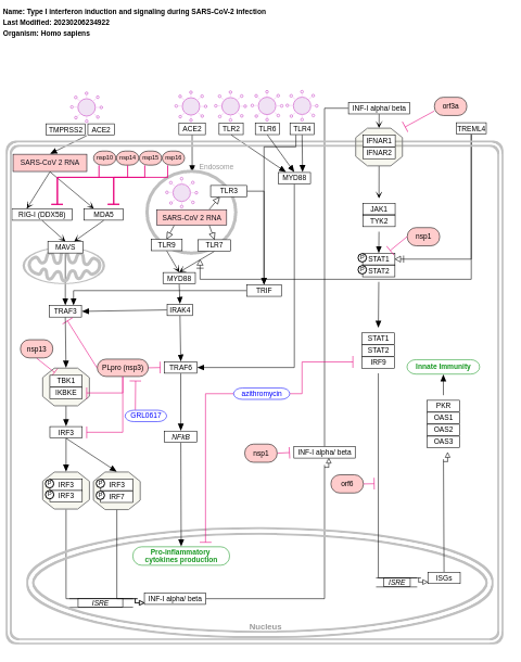 Type I interferon induction and signaling during SARS-CoV-2 infection