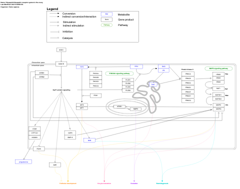 Kisspeptin/kisspeptin receptor system in the ovary