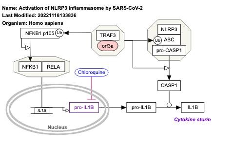 Activation of NLRP3 inflammasome by SARS-CoV-2