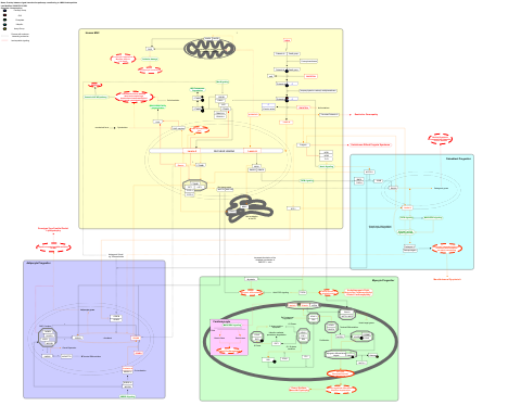 Overlap between signal transduction pathways contributing to LMNA laminopathies