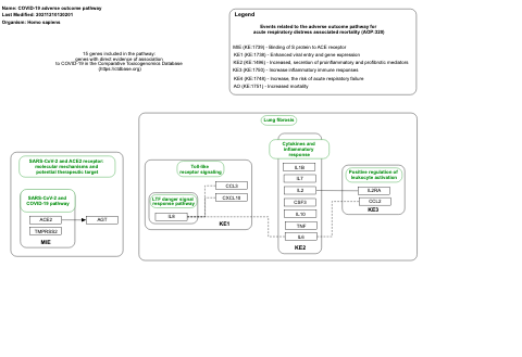 COVID-19 adverse outcome pathway