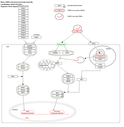 SARS coronavirus and innate immunity
