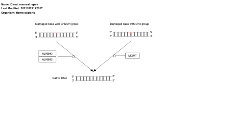 Direct reversal repair