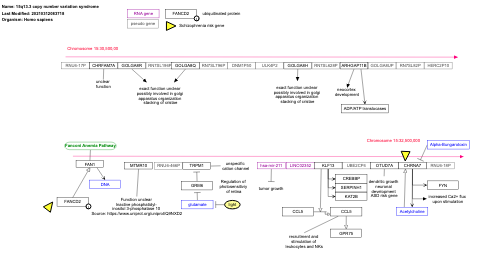 15q13.3 copy number variation syndrome