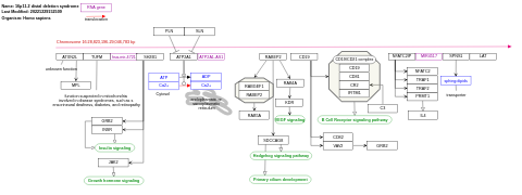 16p11.2 distal deletion syndrome