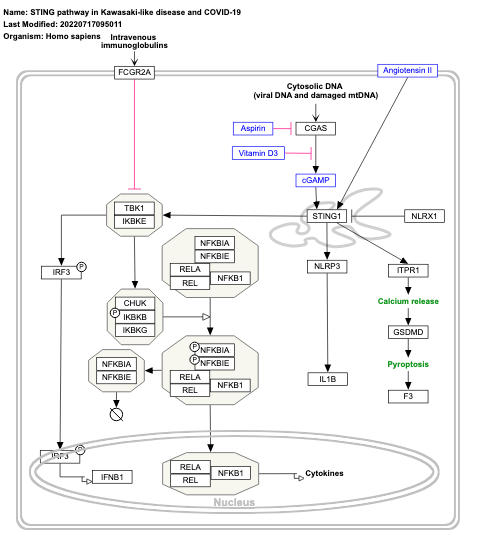 STING pathway in Kawasaki-like disease and COVID-19
