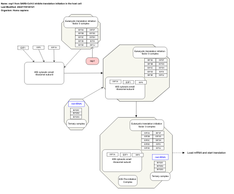 nsp1 from SARS-CoV-2 inhibits translation initiation in the host cell