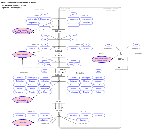 Amino acid transport defects (IEMs)