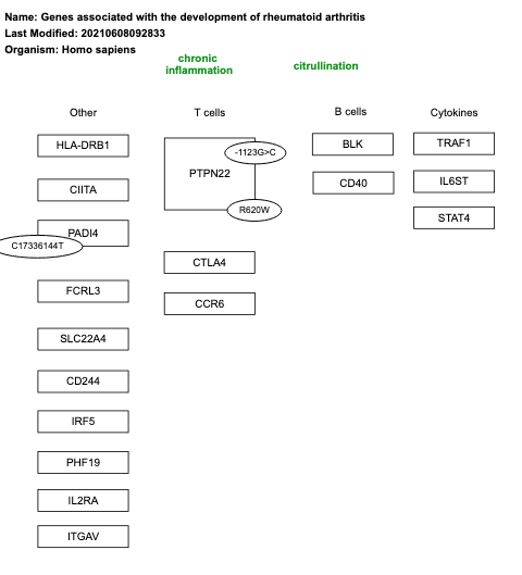 Genes associated with the development of rheumatoid arthritis
