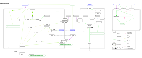 Angiotensin II receptor type 1 pathway