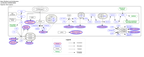 Riboflavin and CoQ disorders