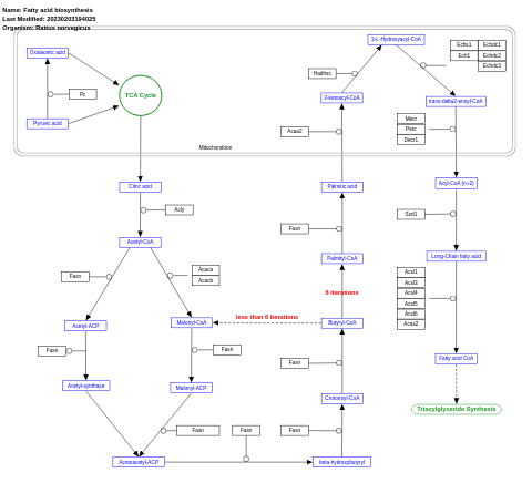 Fatty acid biosynthesis