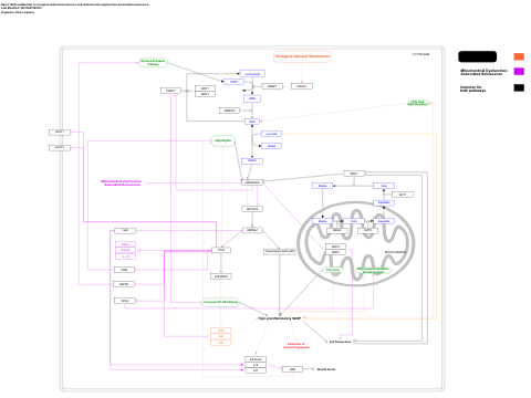 NAD metabolism in oncogene-induced senescence and mitochondrial dysfunction-associated senescence