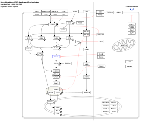 Modulators of TCR signaling and T cell activation