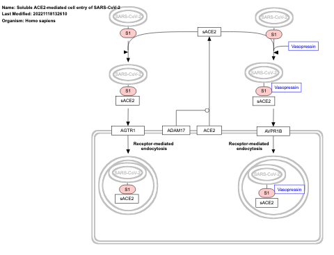 Soluble ACE2-mediated cell entry of SARS-CoV-2
