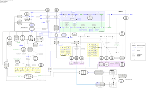 Neuroinflammation and glutamatergic signaling