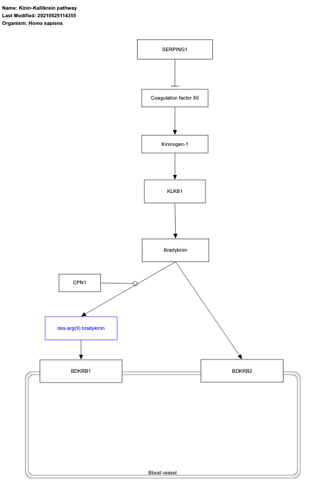 Kinin-Kallikrein pathway