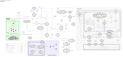 Complement system in neuronal development and plasticity